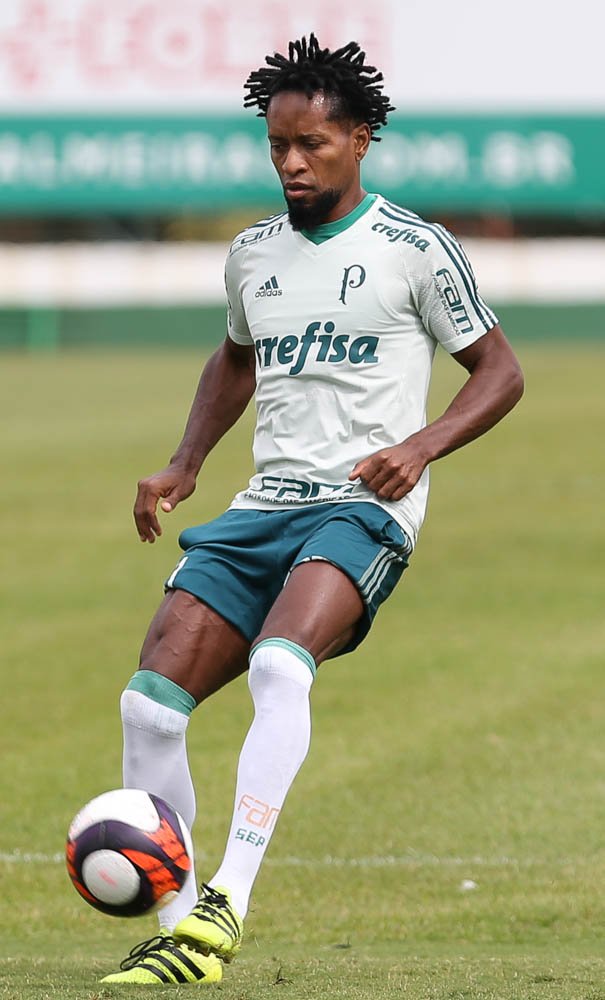 Palmeiras: Eduardo Baptista comanda treino tático visando Novorizontino