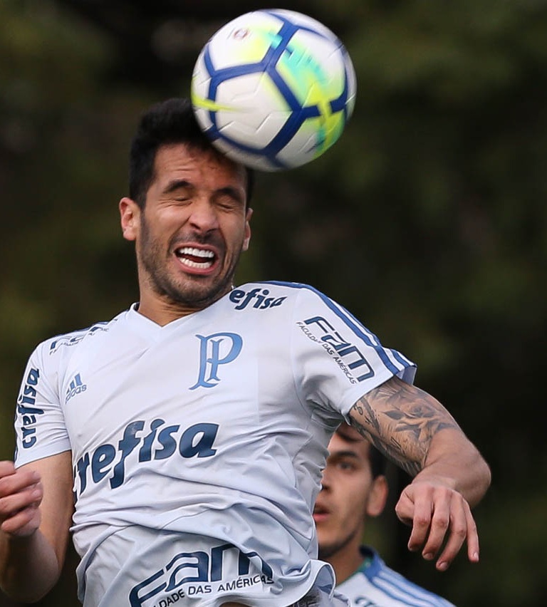 Palmeiras: Elenco se reapresenta após vitória e faz treino específico no campo