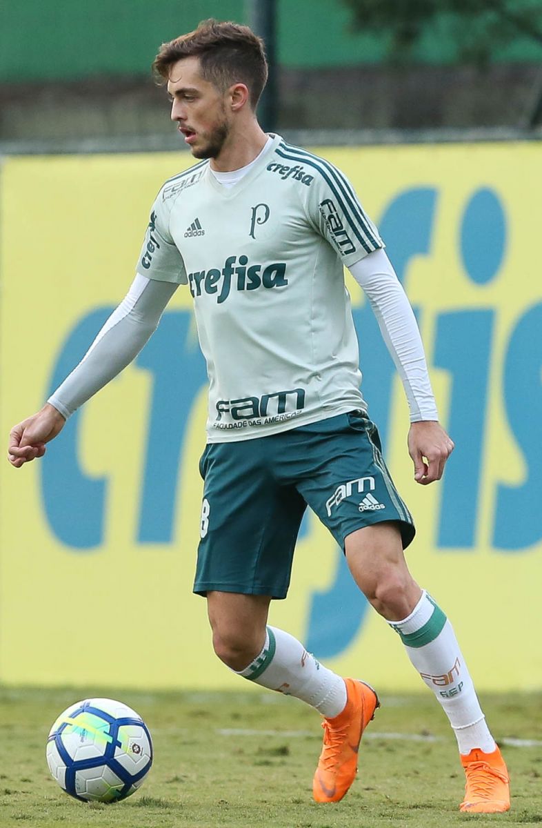 Palmeiras se reapresenta após classificação na Copa do Brasil; Moisés treina com bola
