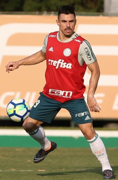 Elenco alviverde se reapresenta e inicia preparação visando Chapecoense Elenco alviverde se reapresenta e inicia preparação visando Chapecoense