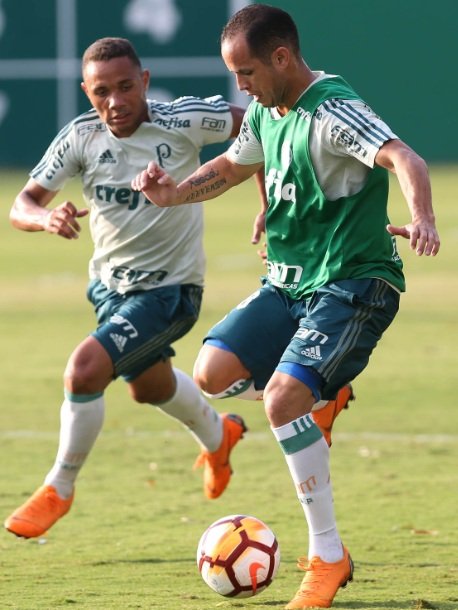 Palmeiras: Elenco se reapresenta e faz treino técnico na Academia de Futebol