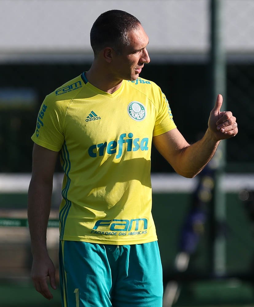 Cesar Greco/Ag.Palmeiras/Divulgação_Goleiro Fernando Prass segue em recuperação após cirurgia no cotovelo