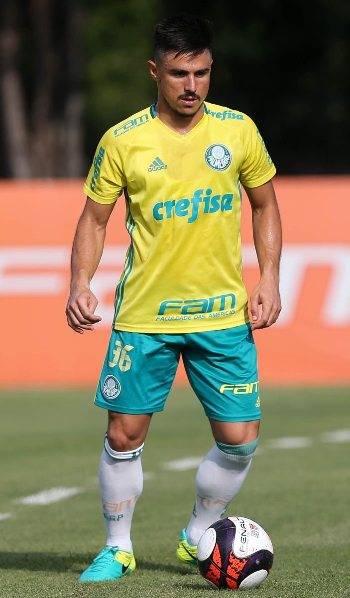 Cesar Greco/Ag.Palmeiras/Divulgação_Atacante Willian fez primeiras atividades com o elenco do Verdão