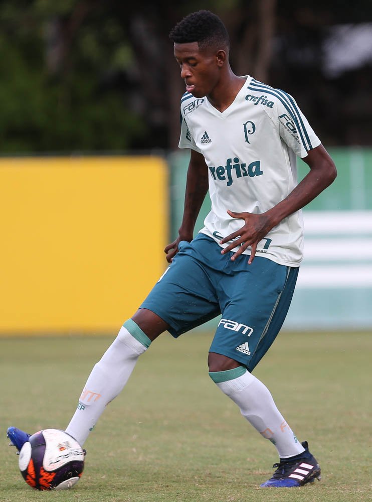 Palmeiras faz treino tático visando confronto com Novorizontino