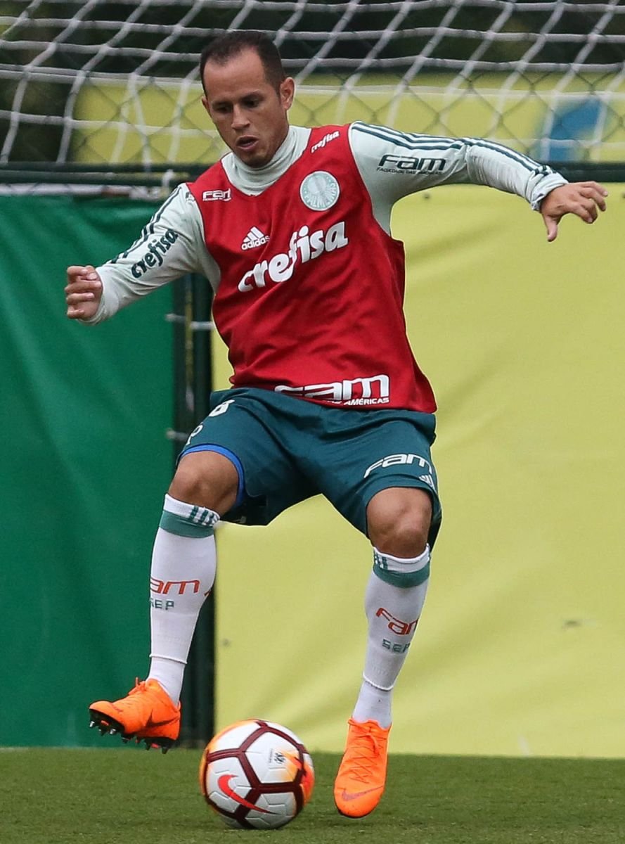 Palmeiras: Elenco se reapresenta e inicia preparação visando estreia na Libertadores
