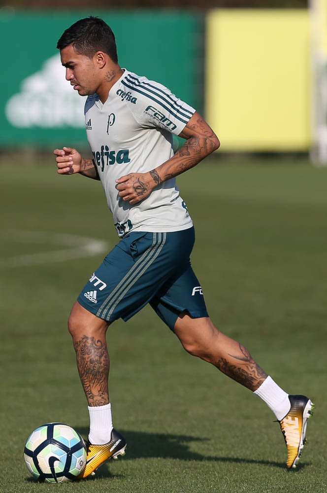 Palmeiras: Elenco se reapresenta e realiza circuitos físicos na Academia de Futebol Palmeiras: Elenco se reapresenta e realiza circuitos físicos na Academia de Futebol