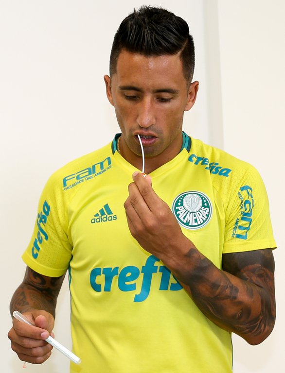 Após goleada, Palmeiras faz treino regenerativo; reservas fazem trabalho técnico Após goleada, Palmeiras faz treino regenerativo; reservas fazem trabalho técnico