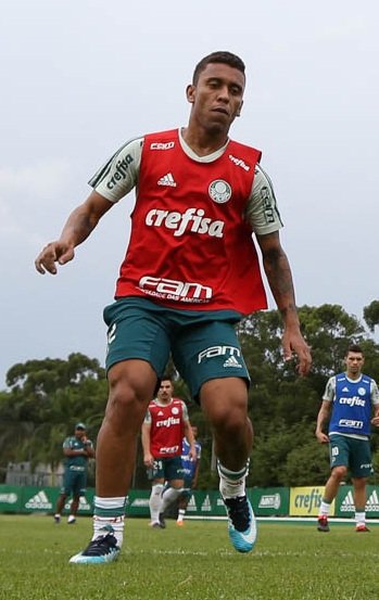Palmeiras treina simulações de jogo visando duelo com Novorizontino Palmeiras treina simulações de jogo visando duelo com Novorizontino