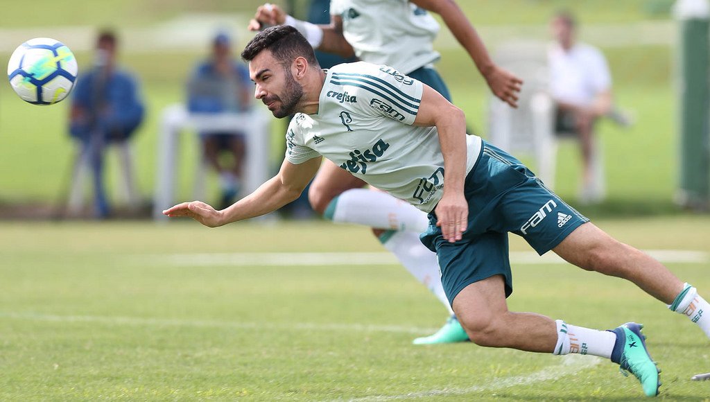 Palmeiras se reapresenta após vitória na Libertadores; titulares fazem recovery