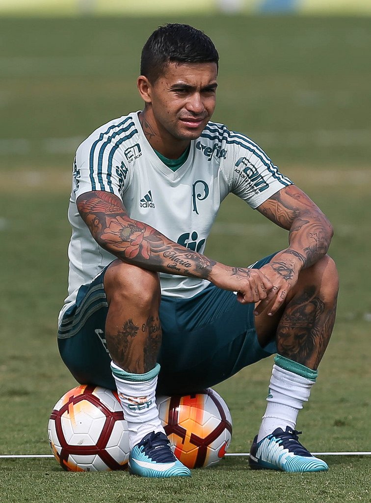 Palmeiras realiza ensaios e finaliza preparação visando Junior Barranquilla-COL