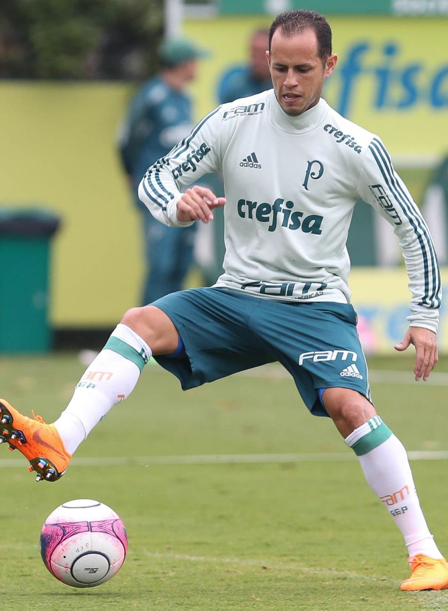 Palmeiras se reapresenta e faz treino técnico visando Novorizontino