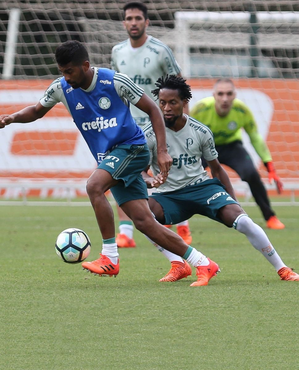 Palmeiras: Alberto Valentim promove treino técnico visando duelo com Flamengo