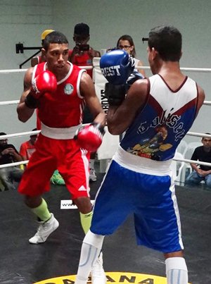 Atual tetracampeão, Verdão estreia na Lisoboxe com foco nas conquistas individuais