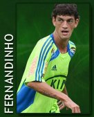 Fernandinho