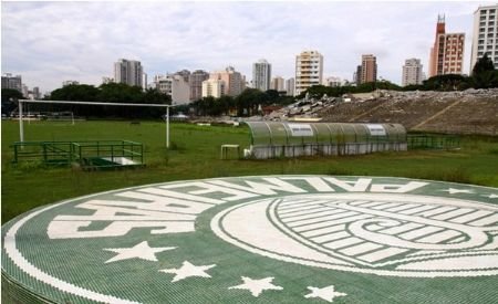 palmeiras13.jpg