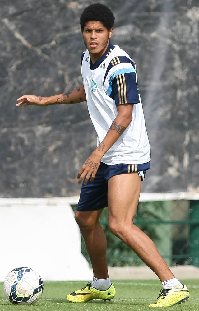 Cesar Grecco/Ag Palmeiras/Divulgação _ Leandro: 'Meu objetivo principal é que o time vença'