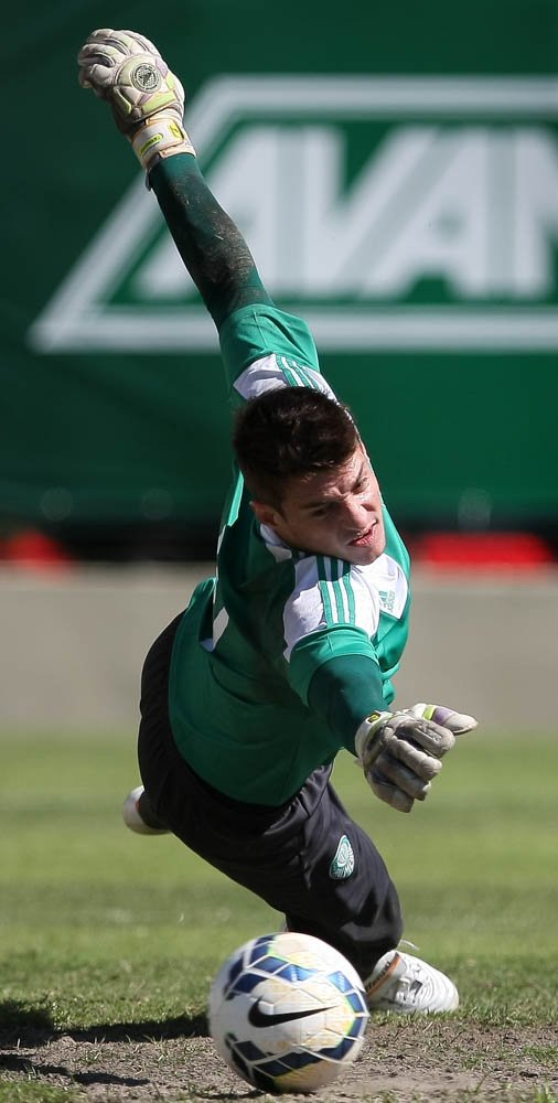 César Greco/Agência Palmeiras/Divulgação _ O goleiro Fabio participou das atividades nesta tarde de terça-feira (29)