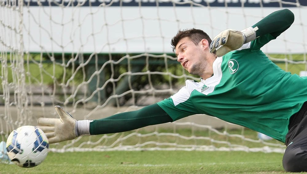 Cesar Greco/Ag Palmeiras/Divulgação _ Fábio, titular no Maranhão, é um dos convocados para a partida contra o Goiás