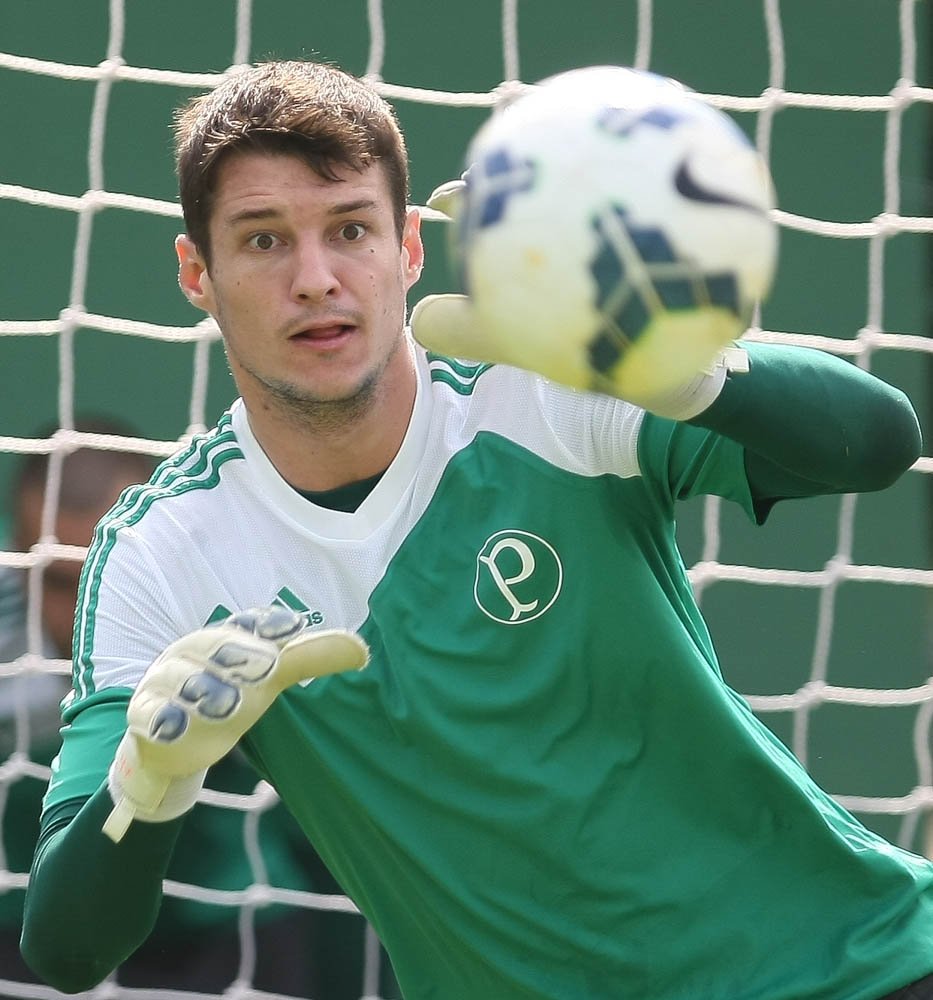 César Greco/Ag Palmeiras/Divulgação _ Em ótima fase, o goleiro Fábio é um dos cotados à titularidade contra o Figueirense