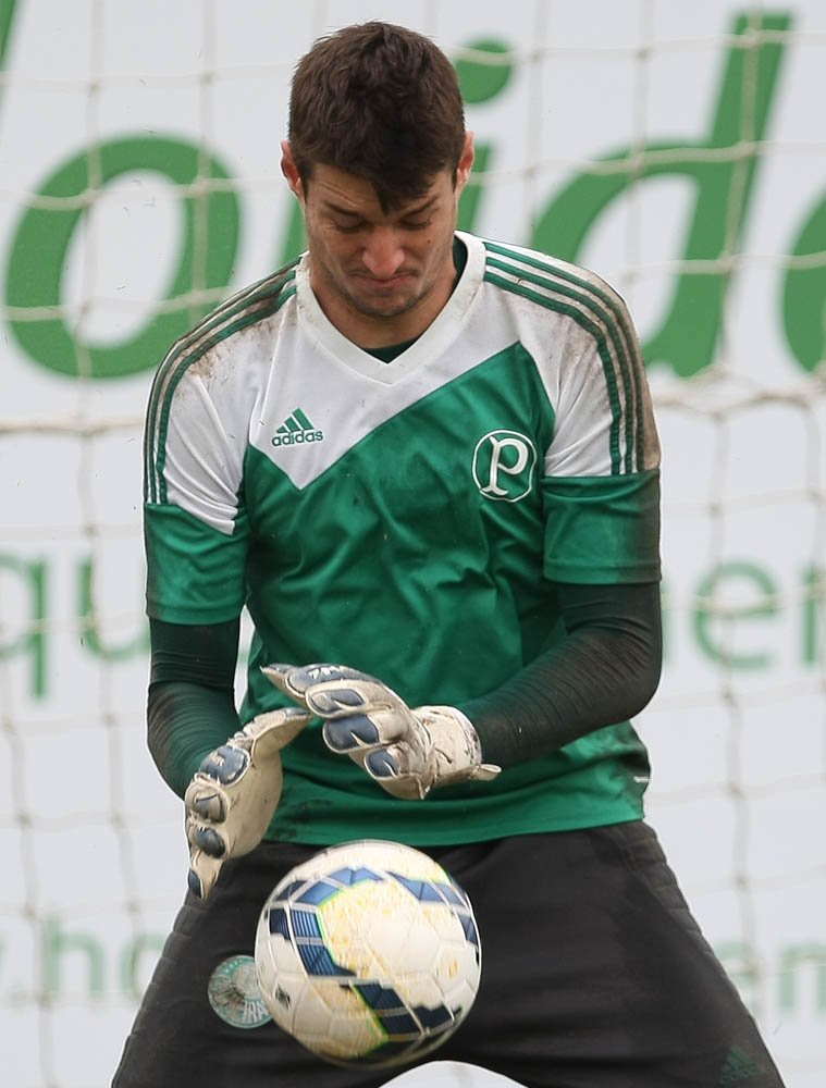 Cesar Greco/Ag. Palmeiras/Divulgação_Fábio tem oito partidas como goleiro titular do Verdão