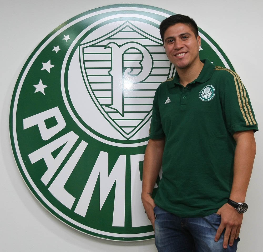 Tudo sobre Palmeiras