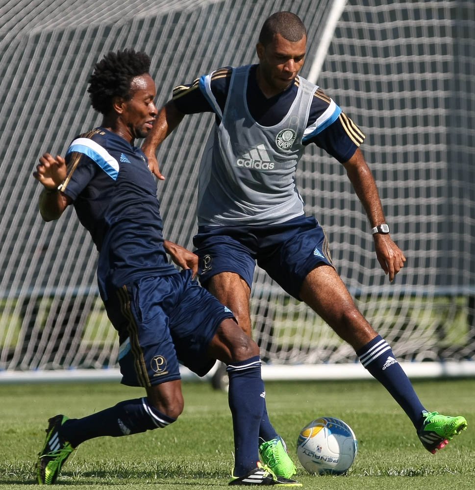 Cesar Greco/Ag.Palmeiras/Divulgação _ O elenco do Verdão mesclou aprimorar a força física com treinar a parte técnica 