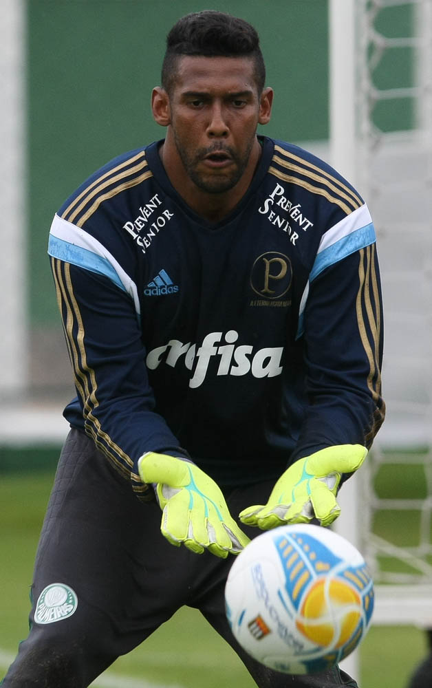 Cesar Greco/Ag.Palmeiras/Divulgação _ Aranha deve ser o titular do Palmeiras contra o Ituano, nesta quarta, 08