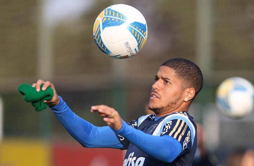 Cesar Greco/Ag. Palmeiras/Divulgação_O último jogo de Leandro foi no dia 19 de outubro do ano passado