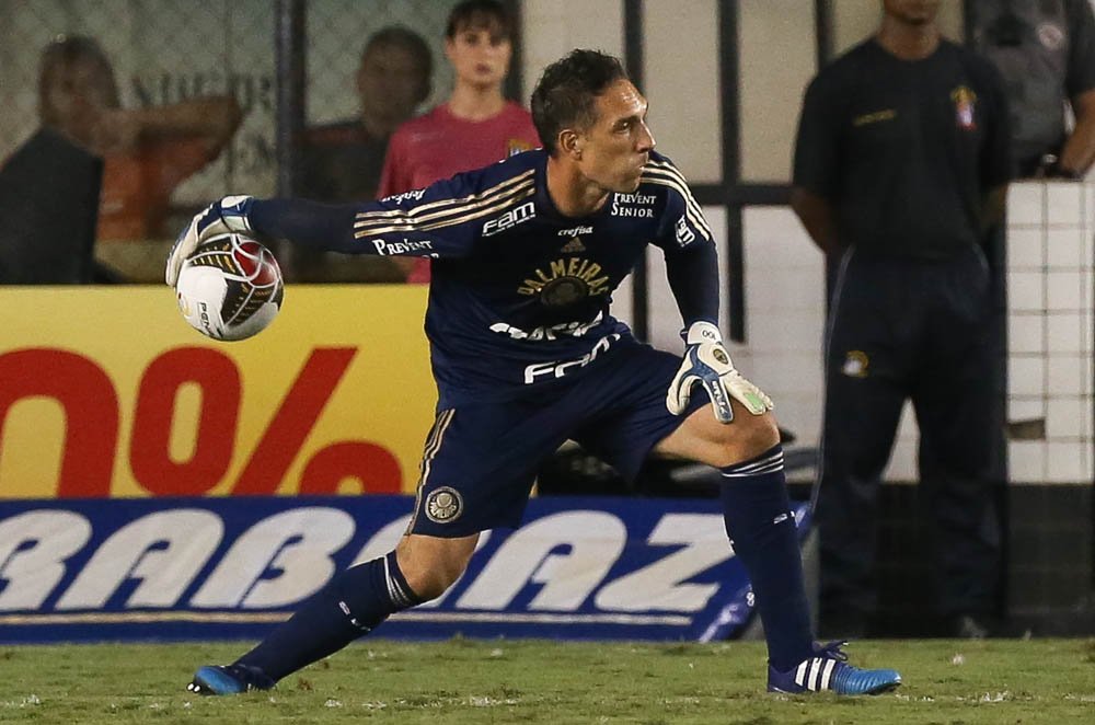 Cesar Greco/Ag. Palmeiras/Divulgação _ Fernando Prass destacou a evolução do time apesar do revés na final