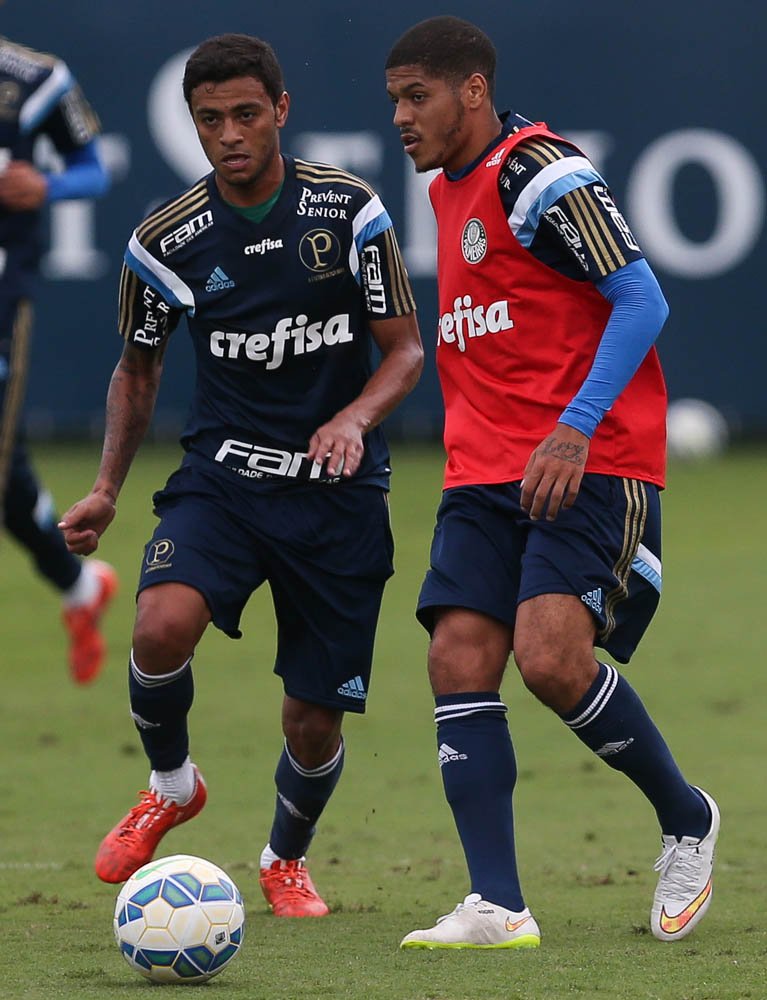 Cesar Greco/Ag. Palmeiras/Divulgação _ Leandro participou do treino coletivo de terça-feira (05)