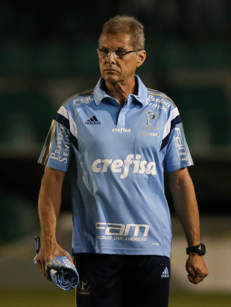 Cesar Greco/Ag. Palmeiras/Divulgação _ Oswaldo de Oliveira projeta uma evolução da equipe nas próximas rodadas.