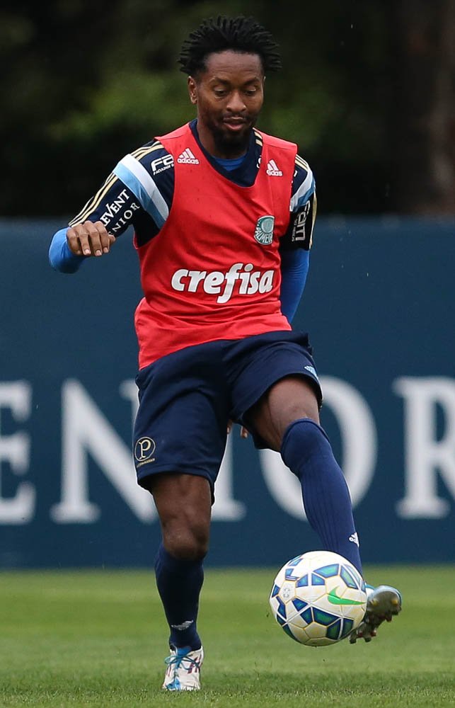 Cesar Greco/Ag.Palmeiras/Divulgação_Poupado contra o Goiás, Zé Roberto está à disposição contra o Corinthians