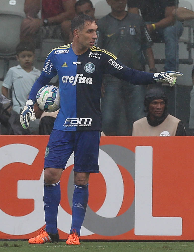 Cesar Greco/Ag. Palmeiras/Divulgação _ Fernando Prass, em grande fase, foi um dos destaques da partida