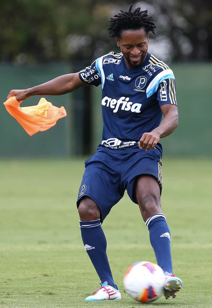 Cesar Greco/Ag. Palmeiras/Divulgação _ Poupado contra o Linense, Zé Roberto foi relacionado para a estreia na Libertadores