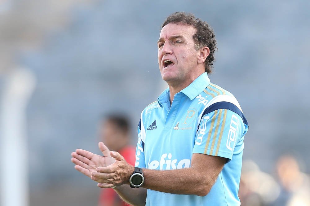 Cesar Greco/Ag.Palmeiras/Divulgação_Cuca pediu pensamento coletivo para poder superar má fase