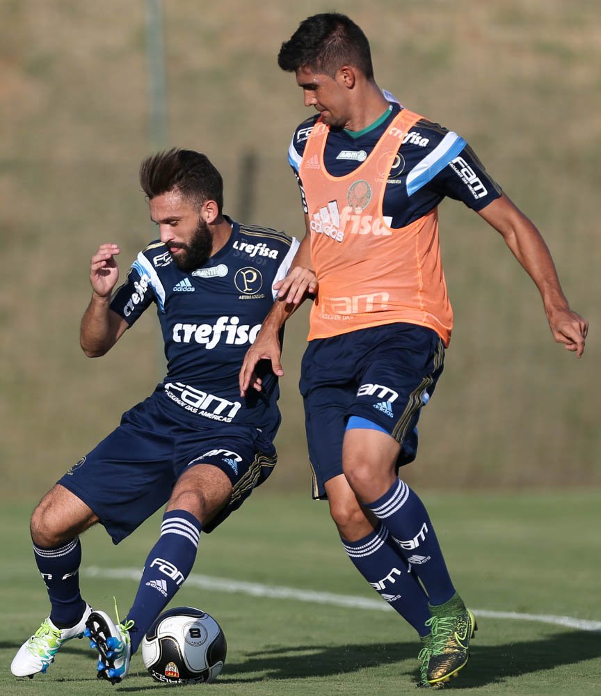 Cesar Greco/Ag.Palmeiras/Divulgação_Elenco palestrino iniciou trabalhos em Atibaia na tarde desta terça-feira (29)