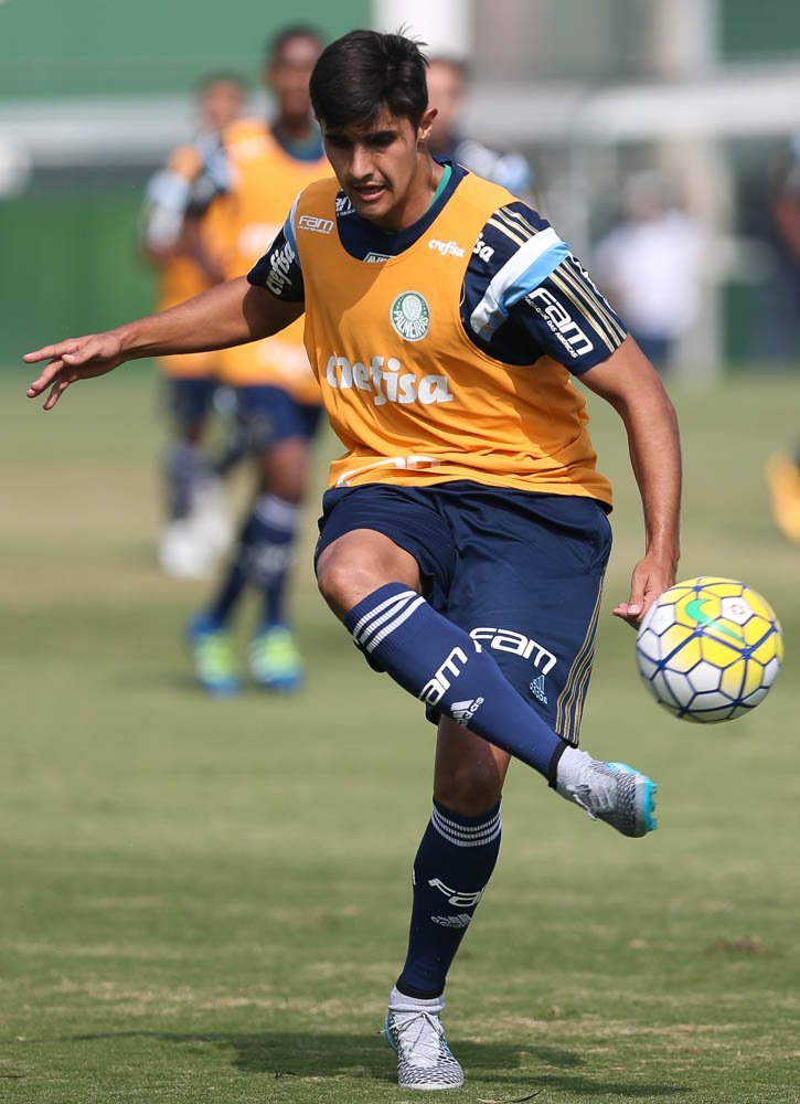 Cesar Greco/Ag.Palmeiras/Divulgação_O zagueiro Thiago Martins treinou como titular pela manhã