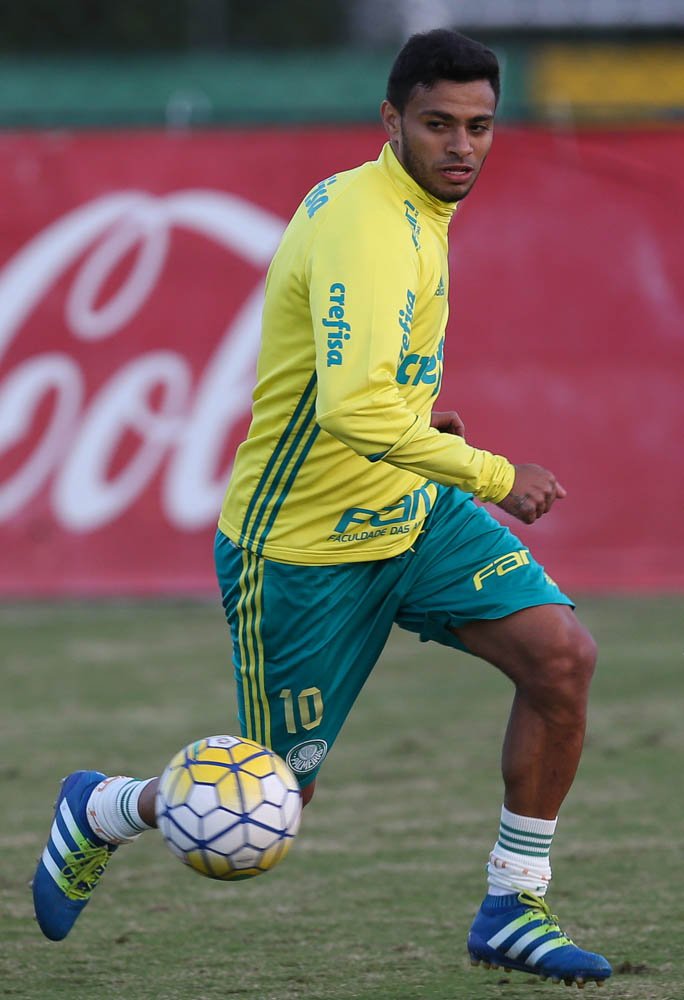 Cesar Greco/Ag.Palmeiras/Divulgação_O meia Cleiton Xavier treinou normalmente e pode voltar contra o Flamengo