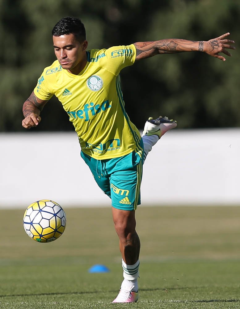 Cesar Greco/Ag.Palmeiras/Divulgação_Dudu pode voltar ao time contra o Santa Cruz