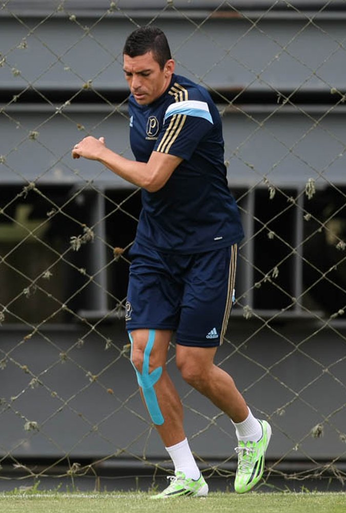 Cesar Greco/Ag. Palmeiras/Divulgação _  Fora da lista desde a 31ª rodada, contra o Corinthians, por uma tendinite no joelho direito