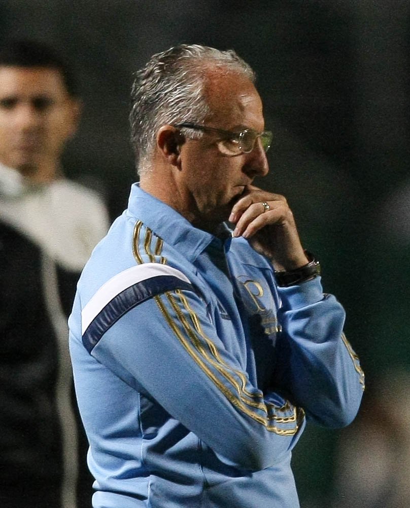 Cesar Greco/Ag. Palmeiras/Divulgação _ Dorival exaltou que a torcida foi fundamental para a reação alviverde na segunda etapa