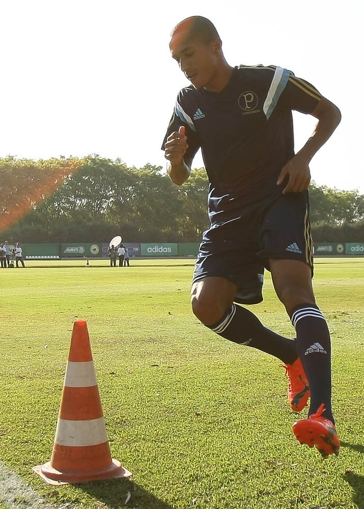 Cesar Greco/Ag. Palmeiras/Divulgação _ Renato participou normalmente das atividades desta terça-feira (23)