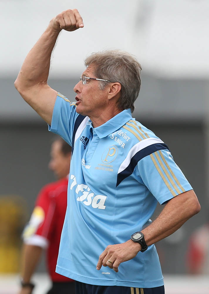 Cesar Greco/Ag. Palmeiras/Divulgação _ Oswaldo mostrou otimismo com a evolução do grupo nas competições de 2015