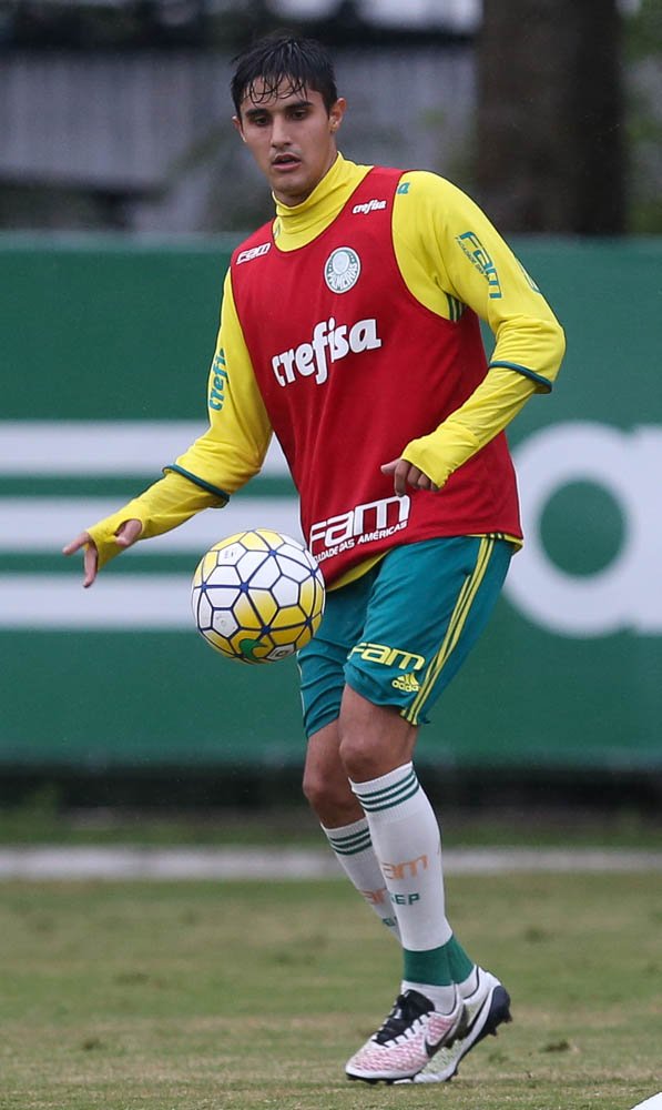 Cesar Greco/Ag. Palmeiras/Divulgação _ Suspenso contra o Santa Cruz, Thiago Martins está à disposição para terça (21)