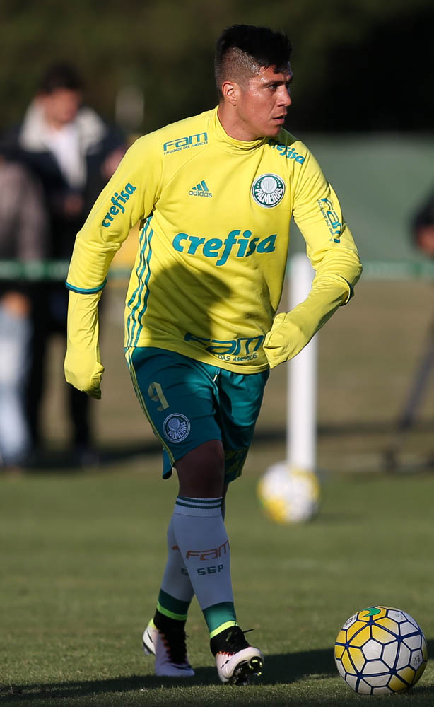 Cesar Greco/Ag Palmeiras/Divulgação _ Cristaldo foi relacionado pela primeira vez com o técnico Cuca