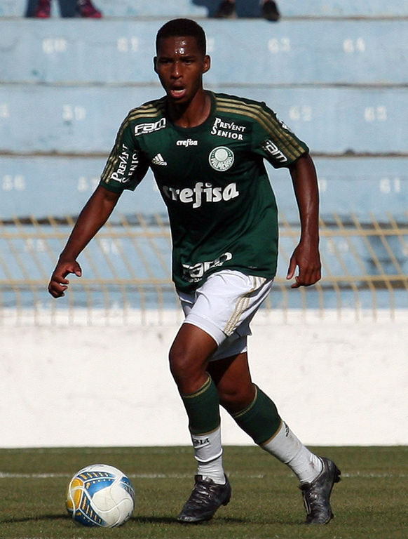 Fabio Menotti/Ag. Palmeiras/Divulgação _ O Verdão possui 28 pontos na competição