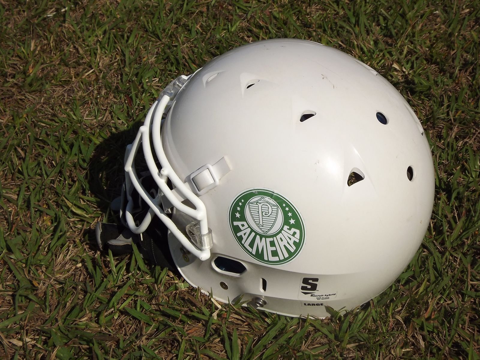 Divulgação_Palmeiras Locomotives se prepara para enfrentar o Piracicaba Cane Cutters