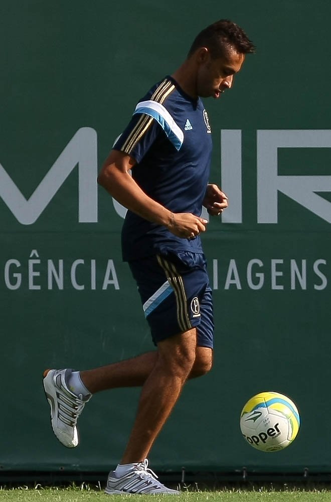 Cesar Greco/Ag. Palmeiras/Divulgação _ O atleta Wellington elogiou o trabalho do técnico Gareca