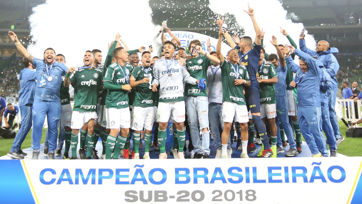 Palmeiras é campeão em arrancada heroica e conquista seu 12º título do  Brasileiro