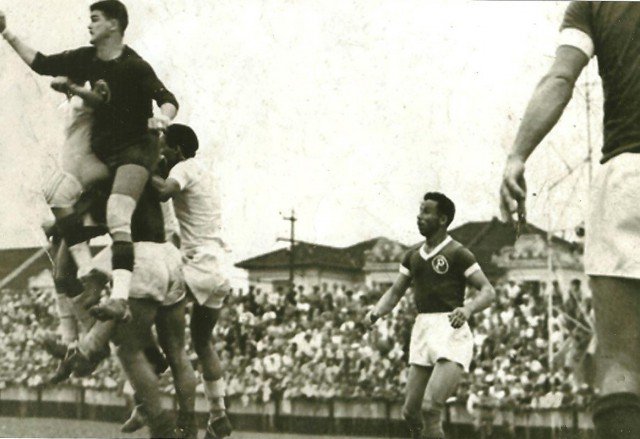 1951-1960: Campeão do mundo e Brasil pintado de verde – Palmeiras